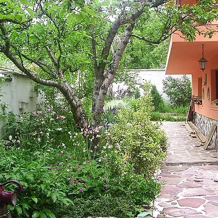 Hadjibulevata